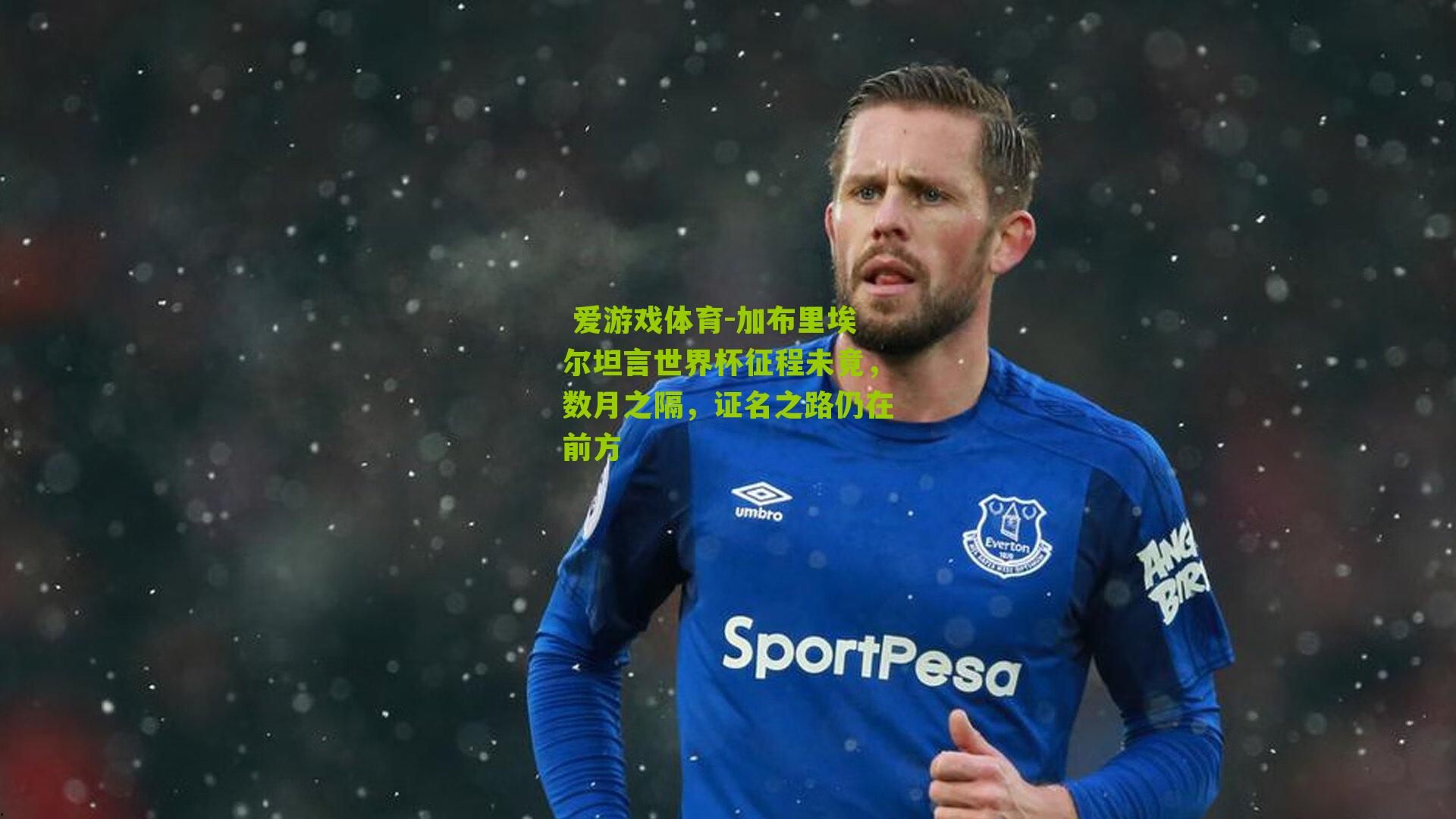 加布里埃尔坦言世界杯征程未竟，数月之隔，证名之路仍在前方